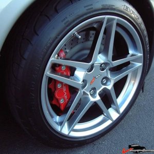 18x95 with 255-40_close.jpg
