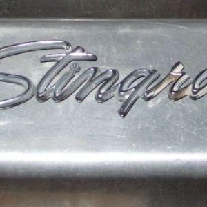 stingray cover.jpg