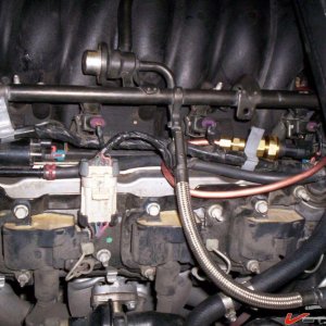 relocated sender.jpg