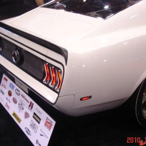 Mustang mesh rear 1.jpg