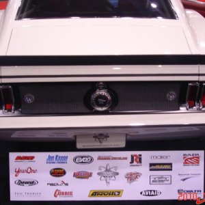 Mustang mesh rear 2.jpg